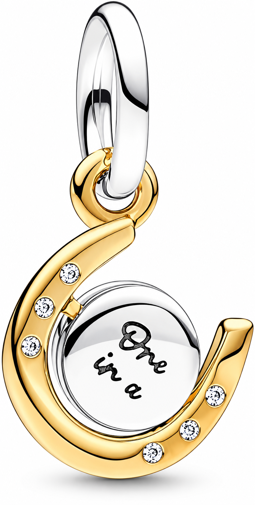 Lucky Horseshoe Two Tone Dangle Charm