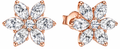 Rose Gold Sparkling Herbarium Cluster Stud Earrings